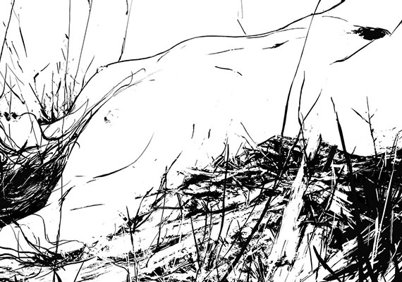 ● 2020, Inks, Photoshop